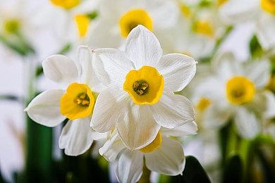 年度“世界电子游戏名作堂”提名公布 《刺客信条1》入选